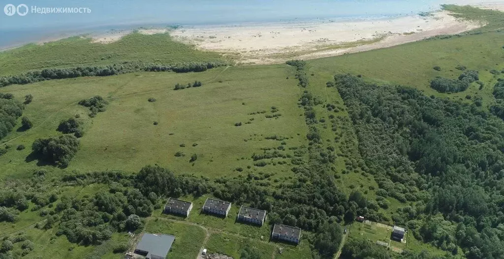 Участок в Борковское сельское поселение, деревня Дубровка (13 м) - Фото 1