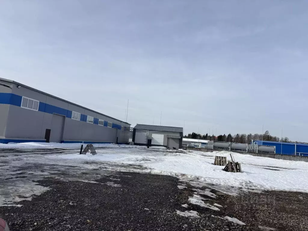 Склад в Ленинградская область, Всеволожский район, Муринское городское ... - Фото 2