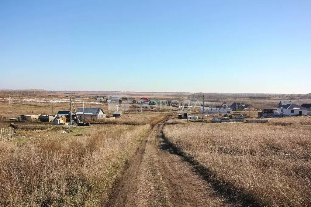 Участок в Алтайский край, Барнаул городской округ, пос. Центральный ... - Фото 1