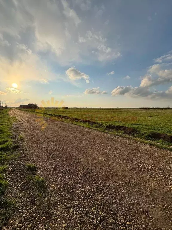 Участок в Краснодарский край, Ейский район, Красноармейское с/пос, ... - Фото 1