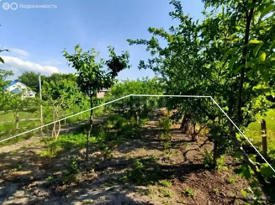 Участок в станица Натухаевская, улица Фрунзе (8.7 м) - Фото 1