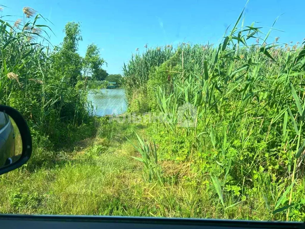 Участок в Краснодарский край, Тимашевский район, Днепровское с/пос, ... - Фото 1