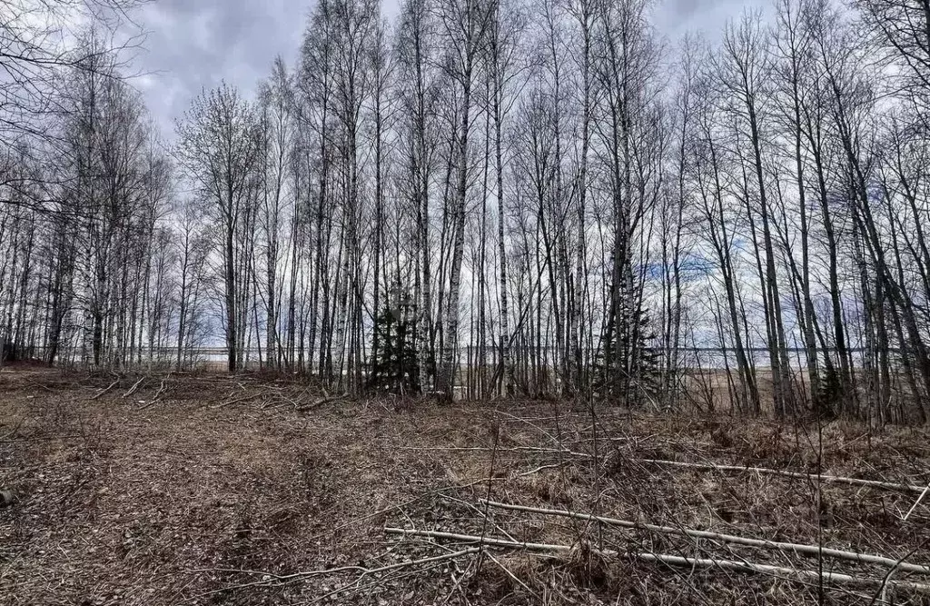 Участок в Ханты-Мансийский АО, Ханты-Мансийск Светлана СОТ,  (100.0 ... - Фото 1