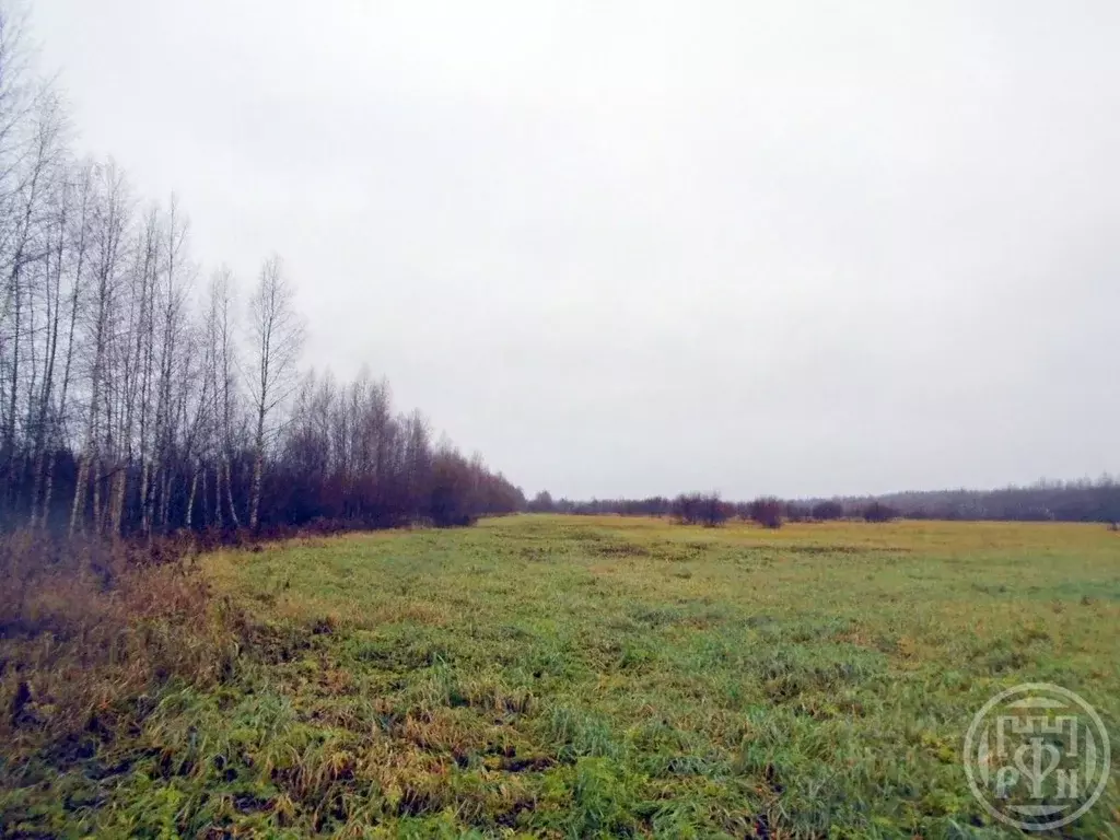 Участок в Ленинградская область, Выборгский район, Красносельское ... - Фото 1
