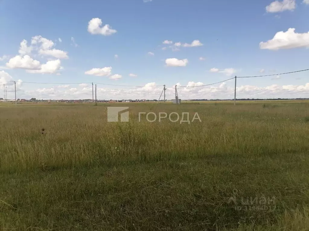 Участок в Новосибирская область, Новосибирский район, Толмачевский ... - Фото 1