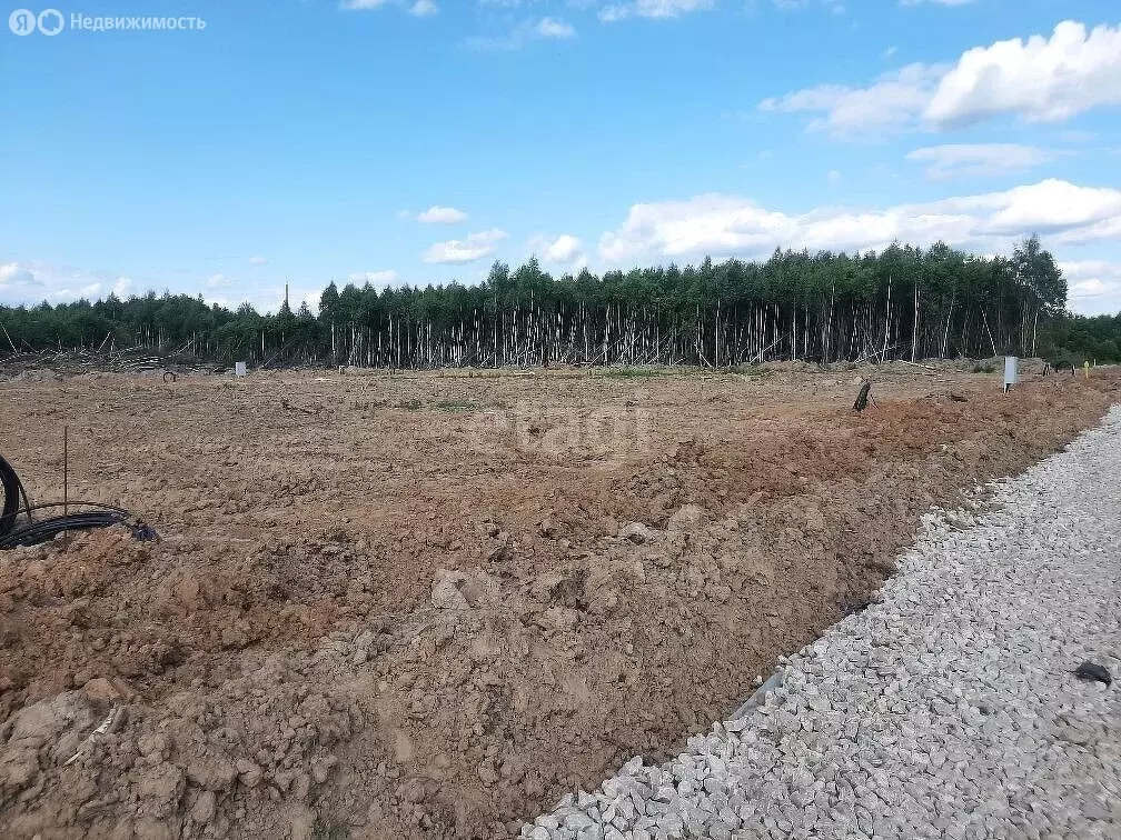 Участок в Ферзиковский район, сельское поселение Грабцево, село ... - Фото 0