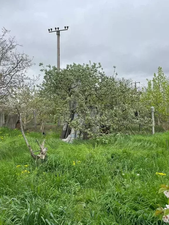 Участок 12 сот. (СНТ, ДНП) - Фото 0