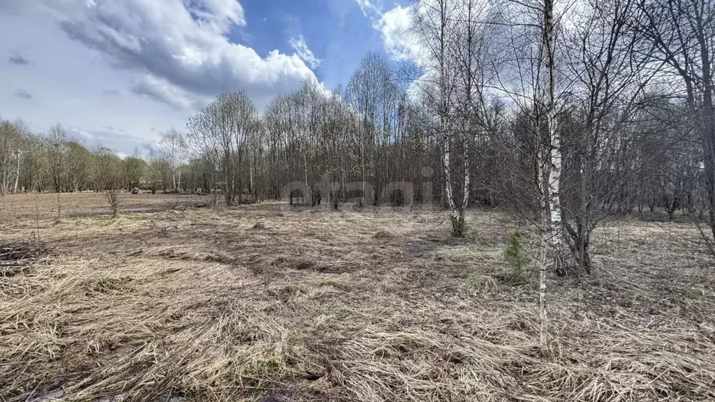 Участок в Тульская область, Заокский район, Страховское с/пос, Верхняя ... - Фото 1