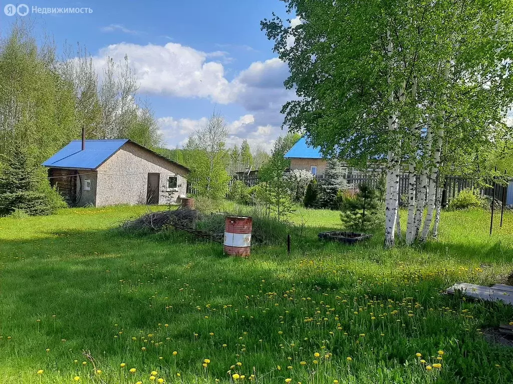 Участок в Якшур-Бодьинский район, село Люкшудья, Центральная улица (10 ... - Фото 2