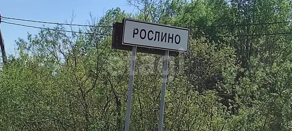 Участок в Вологодская область, Череповецкий район, Югское ... - Фото 1