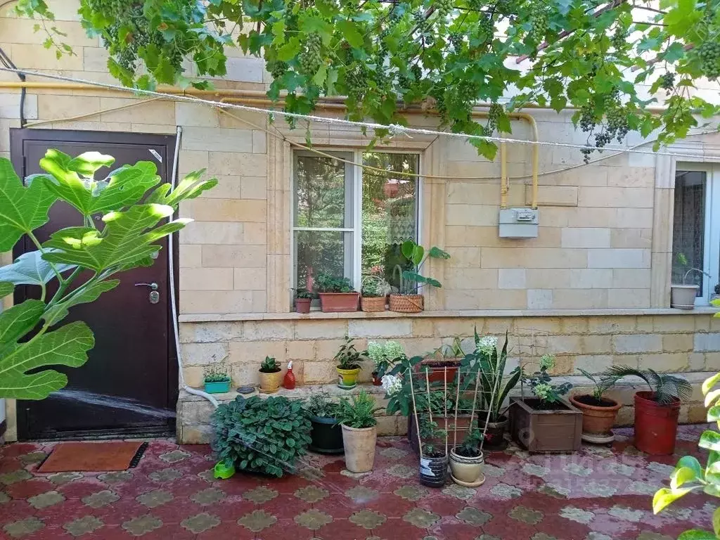 Дом в Краснодарский край, Новороссийск ул. Видова, 50Б (65 м) - Фото 0