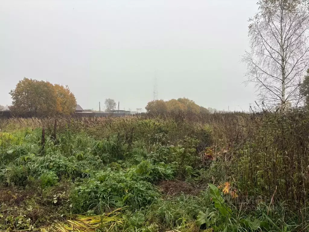 Участок в Московская область, Можайский муниципальный округ, д. ... - Фото 1