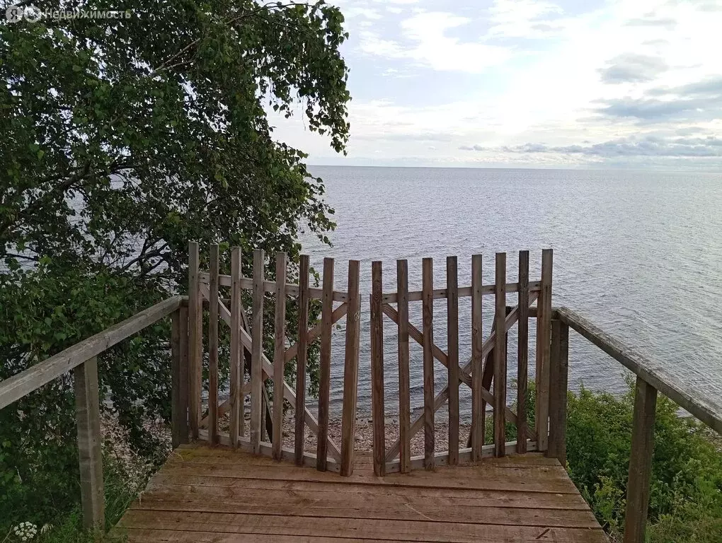 Участок в Наговское сельское поселение, деревня Ретлё, Полевая улица, ... - Фото 1