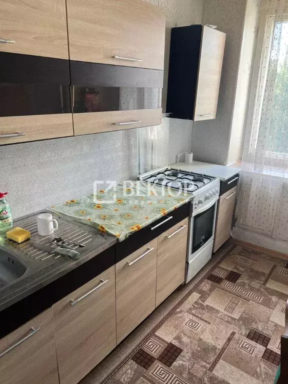 2-к кв. Костромская область, Кострома ул. Шагова, 203 (50.0 м) - Фото 2