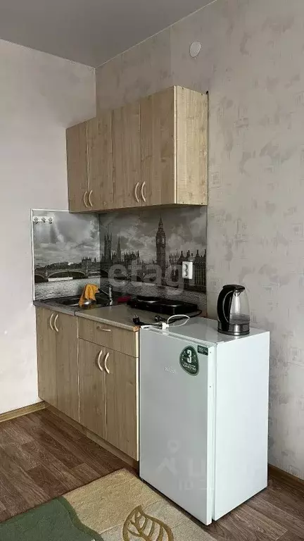 1-к кв. Алтайский край, Барнаул Интернациональная ул, 18 (18.46 м) - Фото 0