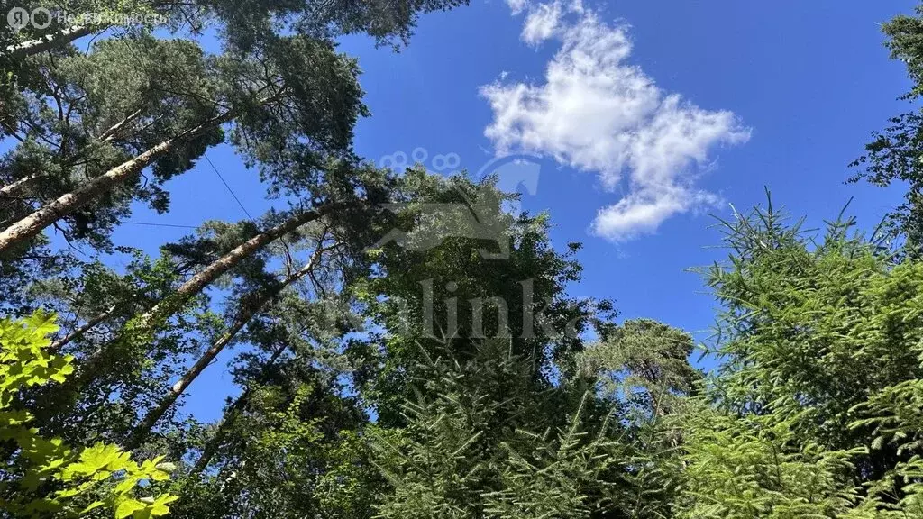 Участок в деревня Жуковка, КП Ландшафт (100 м) - Фото 1