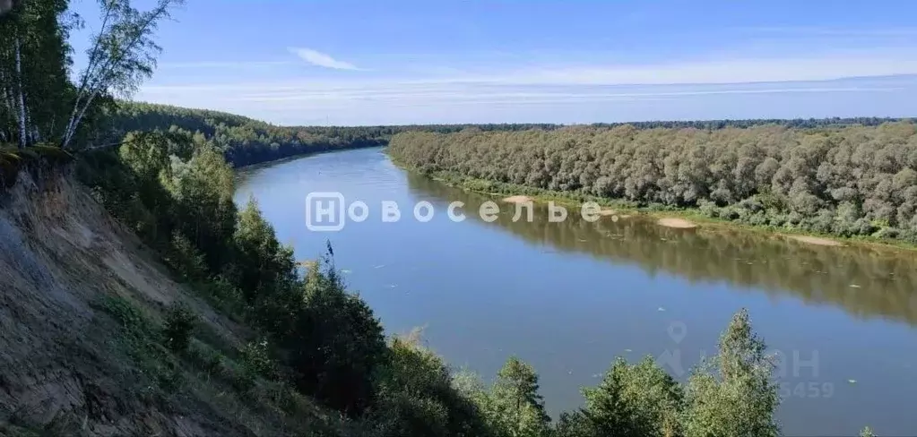 Участок в Рязанская область, Шиловский муниципальный округ, Кривцово ... - Фото 2