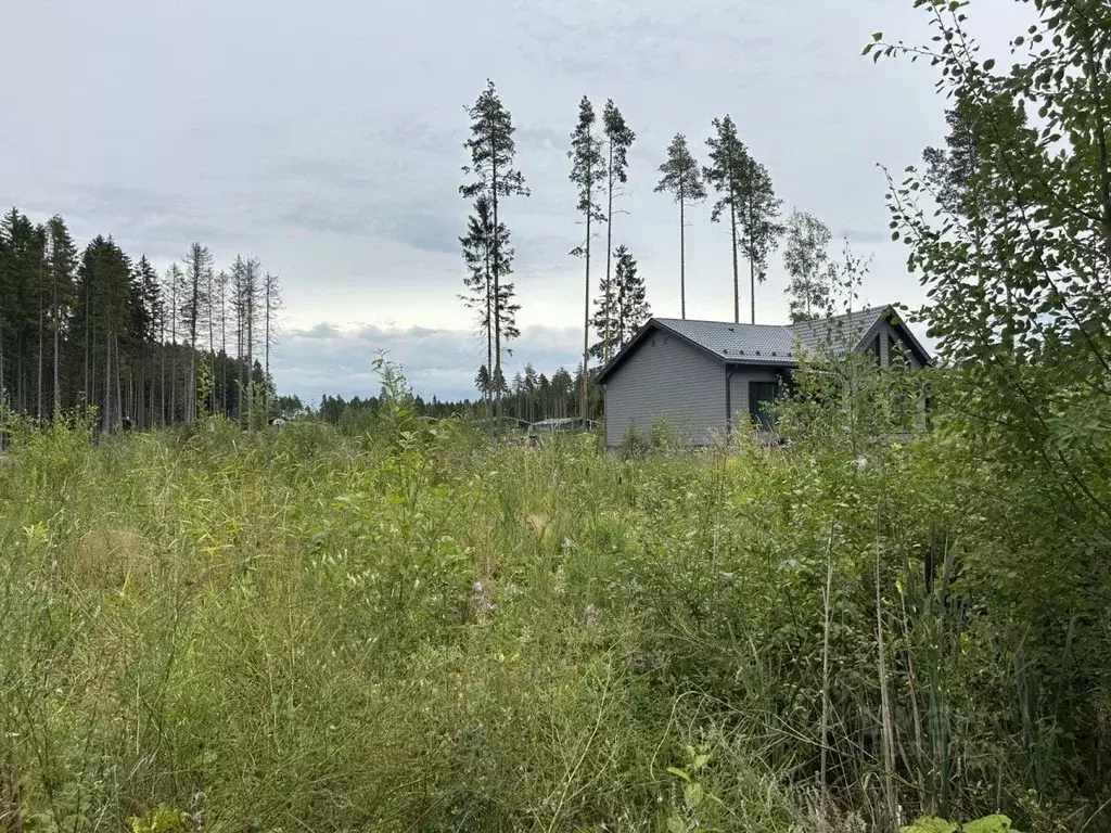 Участок в Ленинградская область, Всеволожский район, Сертоловское ... - Фото 1