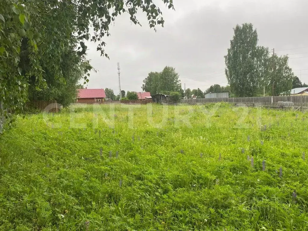 участок в пермский край, добрянский городской округ, пос. ветляны ул. . - Фото 0