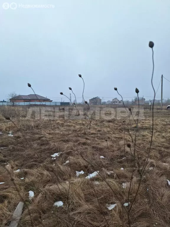 Участок в Новочеркасск, улица Миронова (6 м) - Фото 0