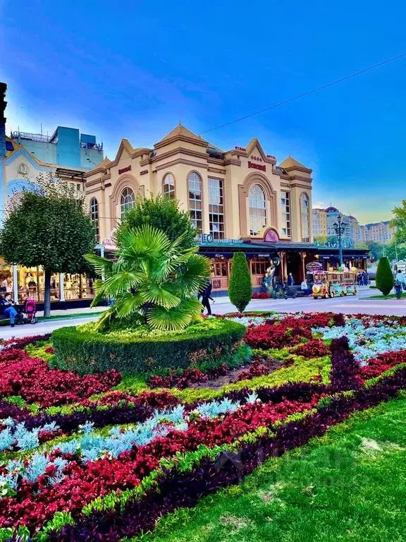 1-к кв. Ставропольский край, Кисловодск просп. Карла Маркса, 6 (25.0 ... - Фото 1