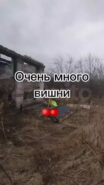 Участок 5 сот. (СНТ, ДНП) - Фото 1