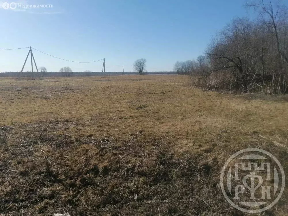 Участок в Толмачёвское городское поселение (19 м) - Фото 2