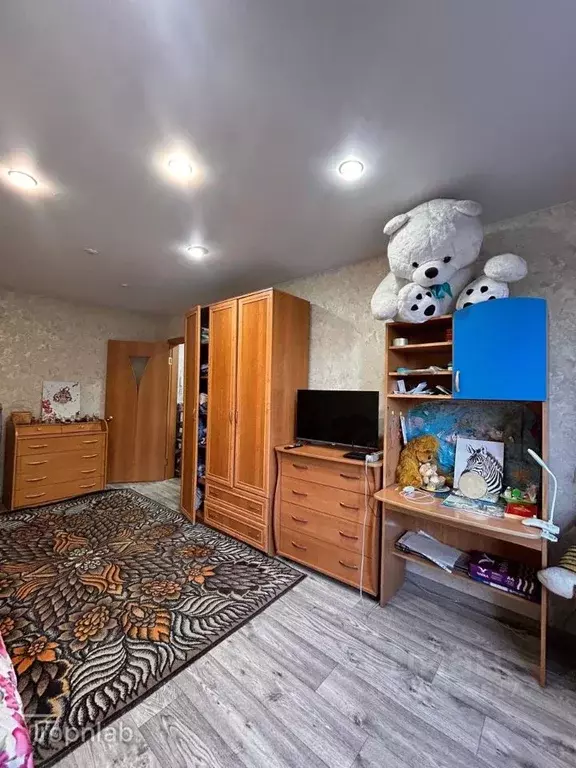 1-к кв. Алтайский край, Барнаул ул. Новосибирская, 38к2 (33.7 м) - Фото 2