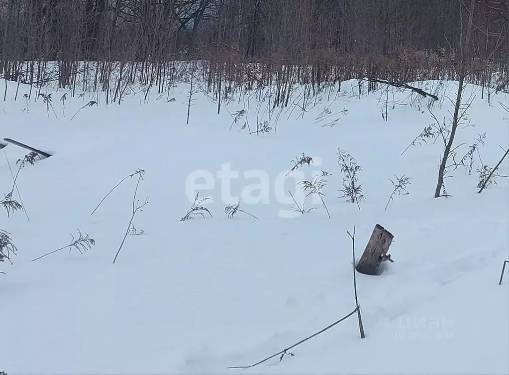 Участок в Тульская область, Тула Металлург-3 СНТ, 72 (4.5 сот.) - Фото 1