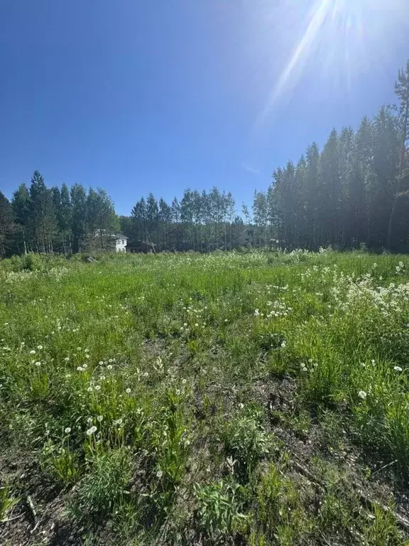 Участок в Томская область, Томский район, пос. Синий Утес, Крутоярский ... - Фото 2