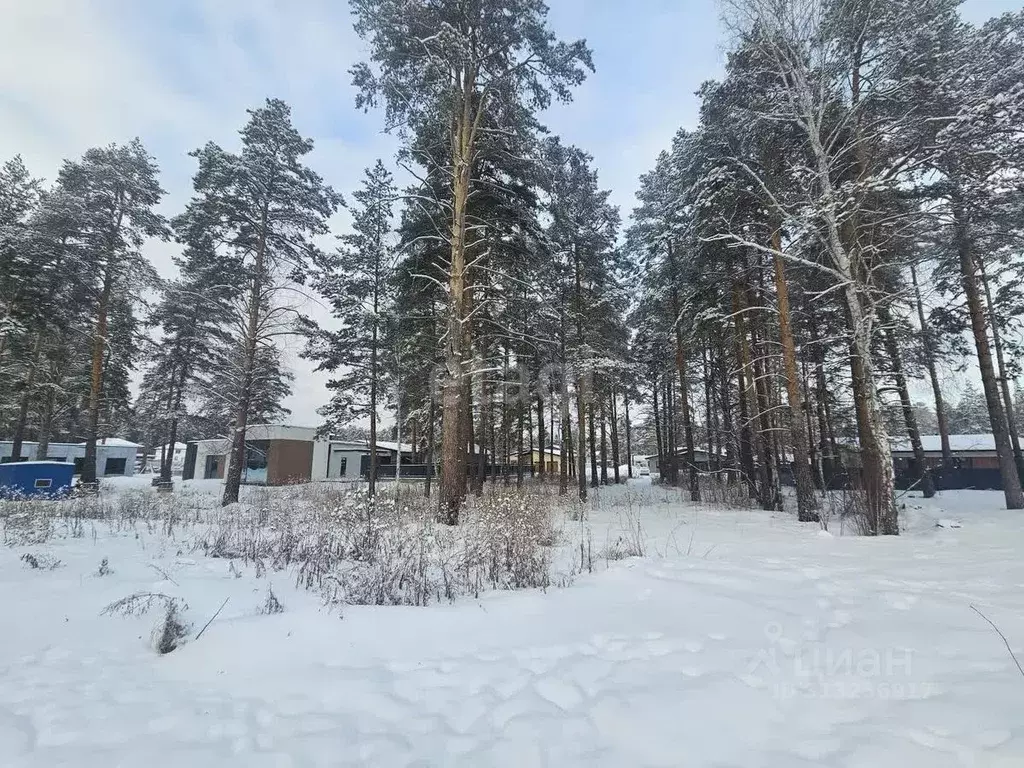 Участок в Свердловская область, Екатеринбург муниципальное ... - Фото 1