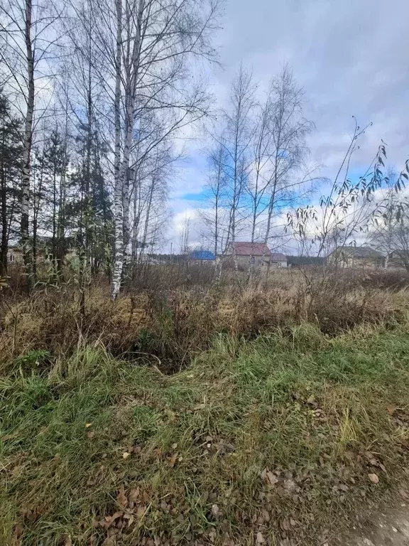 Участок в Московская область, Егорьевск муниципальный округ, пос. ... - Фото 2