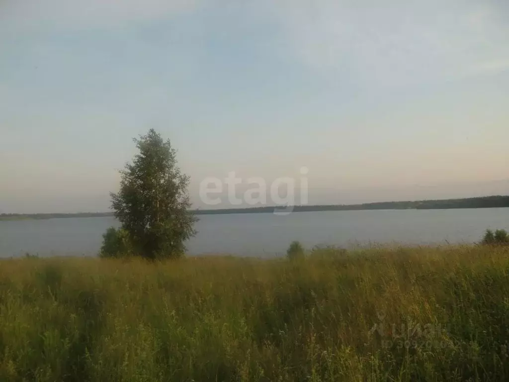 Дом в Костромская область, Кадыйский муниципальный округ, с. Столпино ... - Фото 1