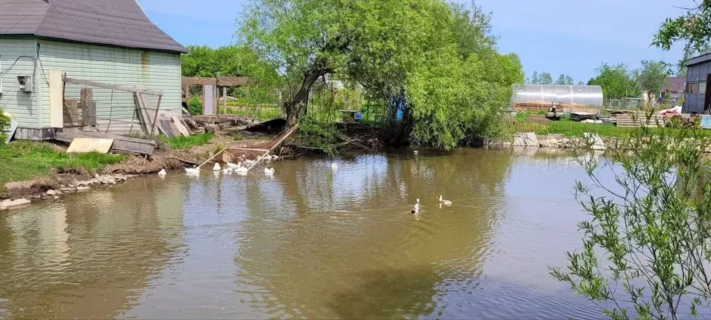 Участок в Хабаровский край, Хабаровск Содружество СНТ,  (8.0 сот.) - Фото 1