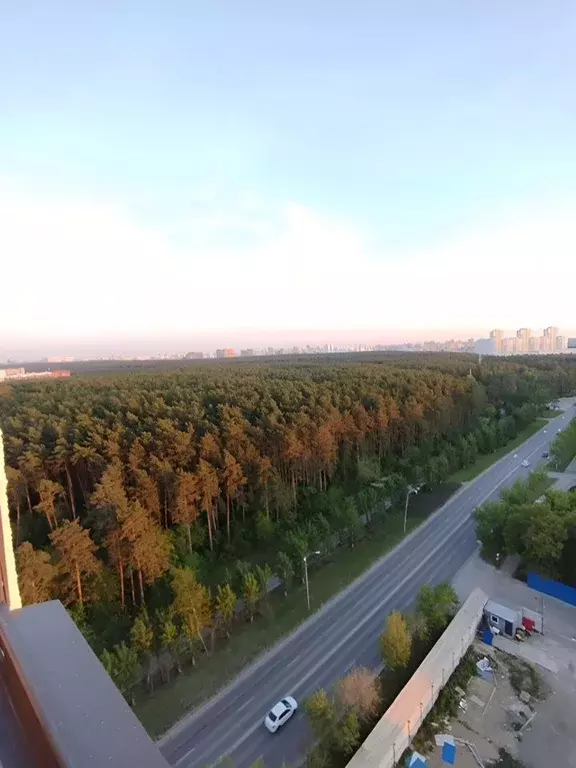 1-к кв. Свердловская область, Екатеринбург ул. Отрадная, 1/2 (22.0 м) - Фото 1
