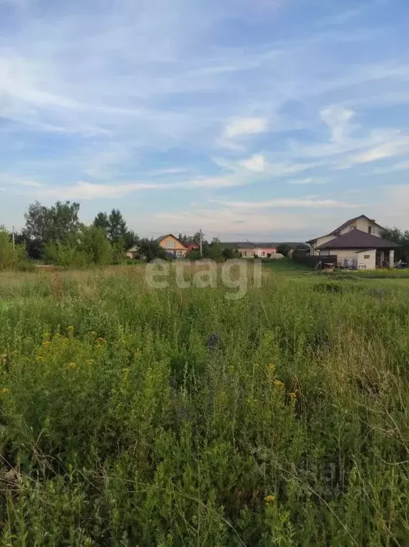 Участок в Тамбовская область, Тамбов городской округ, с. Бокино ул. ... - Фото 0