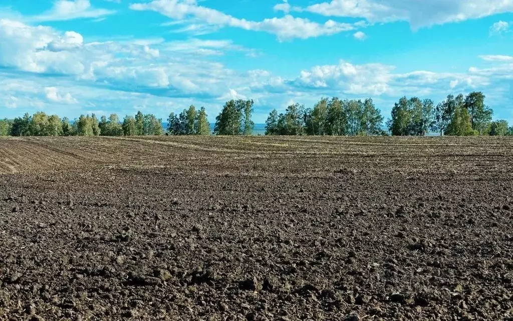 Участок в Краснодарский край, Армавир Восход СНТ, Микрорайон 1-е ... - Фото 0