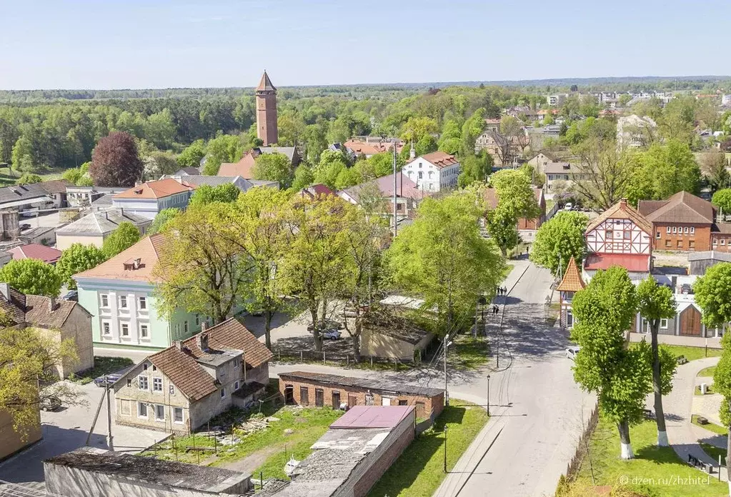 Участок в Калининградская область, Правдинский муниципальный округ  ... - Фото 1