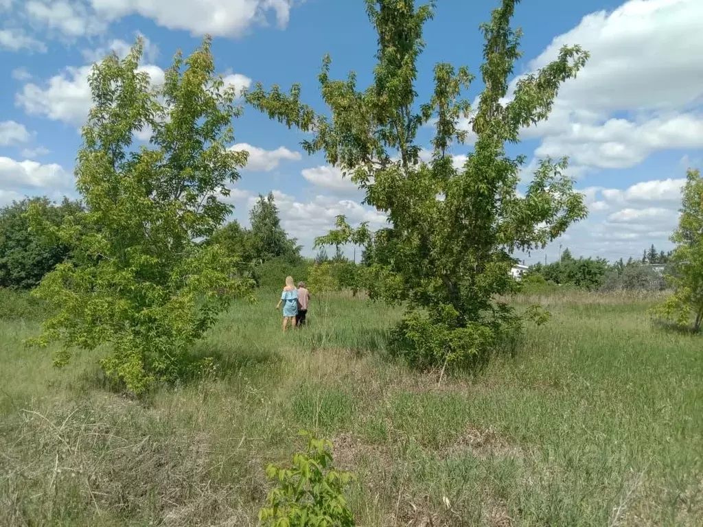 Участок в Омская область, Омский район, Дружинское с/пос, Мечта-92 СНТ ... - Фото 0