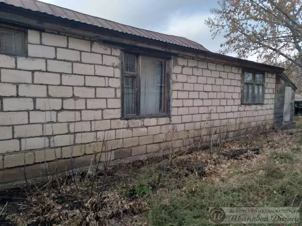 Дом в Самарская область, Большая Глушица с/пос, с. Большая Глушица ул. ... - Фото 2