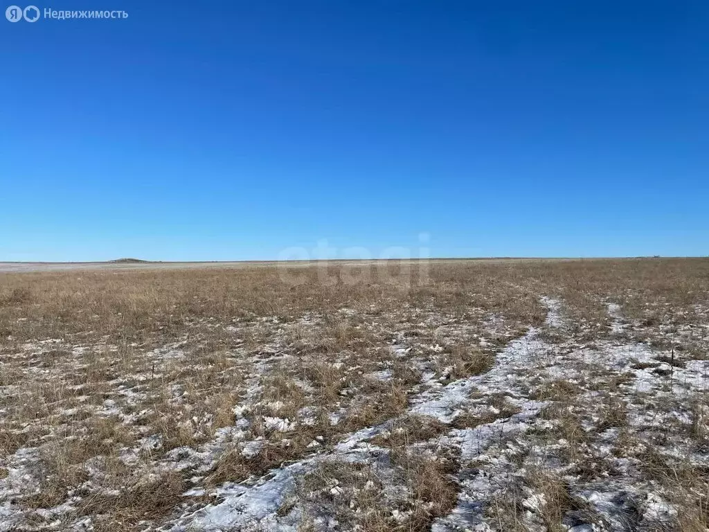 Участок в Симферопольский район, село Донское (311.62 м) - Фото 2