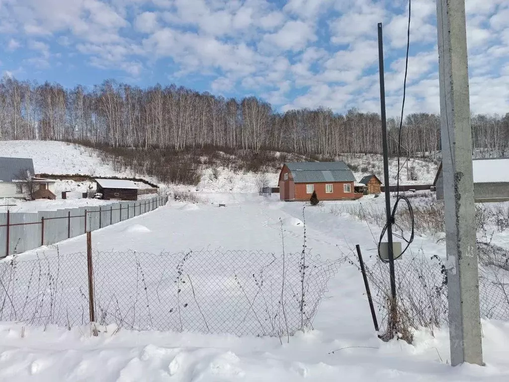 Участок в Новосибирская область, Новосибирский район, Раздольненский ... - Фото 1