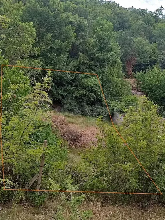 Участок 6,6 сот. (СНТ, ДНП) - Фото 0