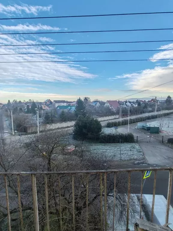 2-к кв. Калининградская область, Гурьевский муниципальный округ, пос. ... - Фото 2