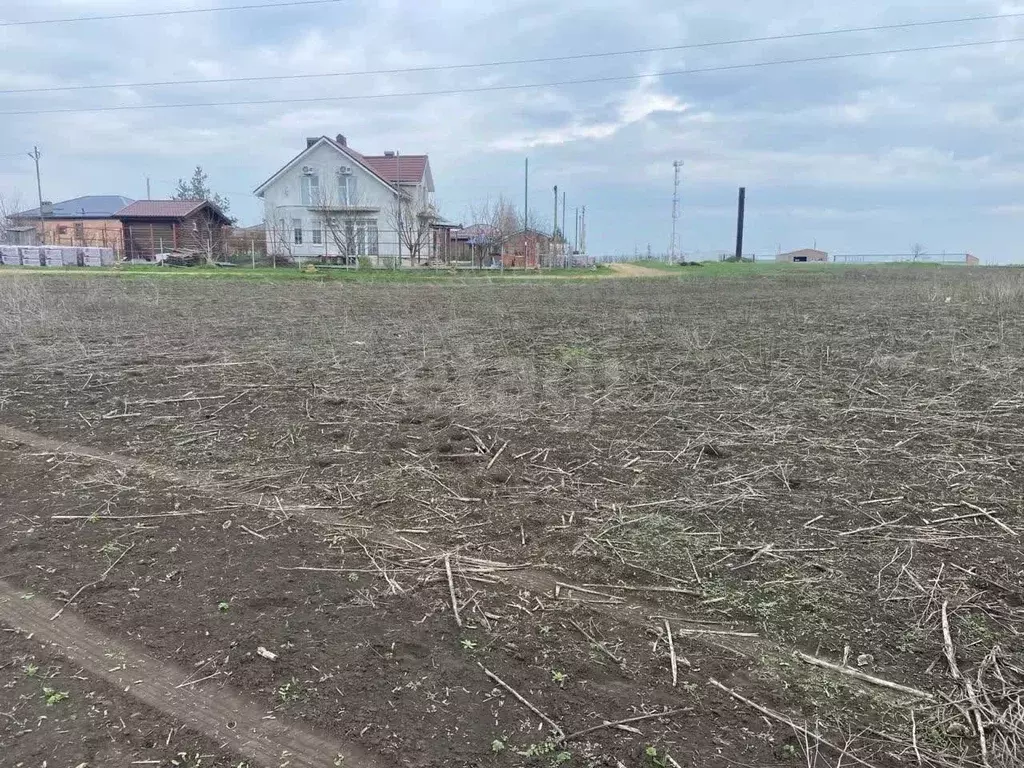 Участок в Ростовская область, Мясниковский район, с. Большие Салы ул. ... - Фото 0