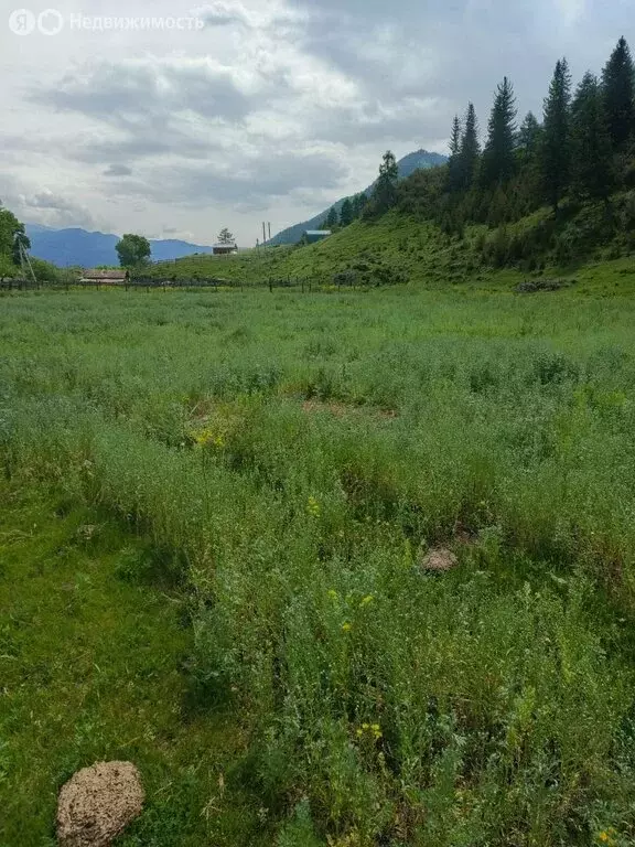 Участок в Чибит, Садовая улица (8 м) - Фото 2