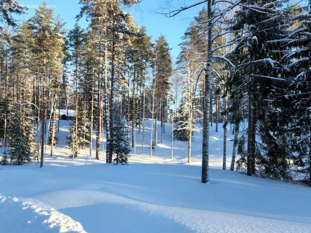 Участок в Куйвозовское сельское поселение, ТСН Лоси (6 м) - Фото 1