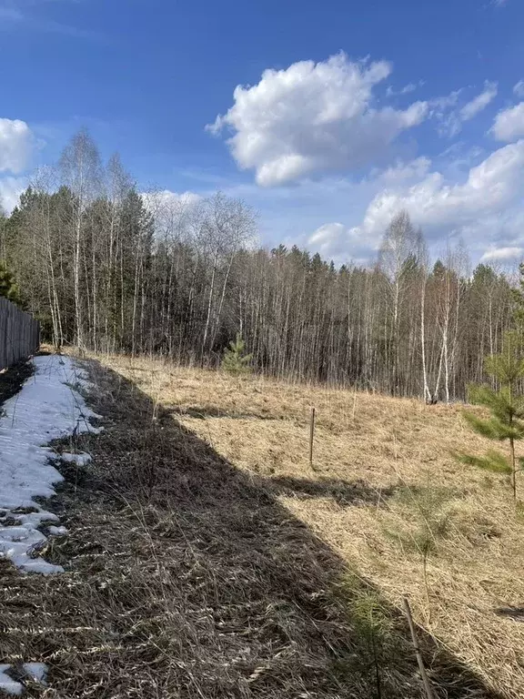 Участок 10 сот. (СНТ, ДНП) - Фото 1