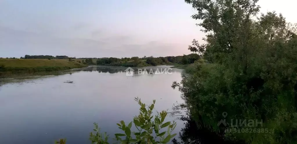 Участок в Владимирская область, Суздальский район, Селецкое ... - Фото 1