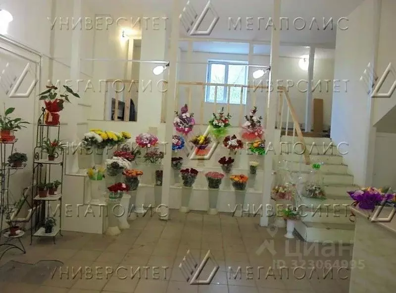 Производственное помещение в Москва Череповецкая ул., 4А (950 м) - Фото 2